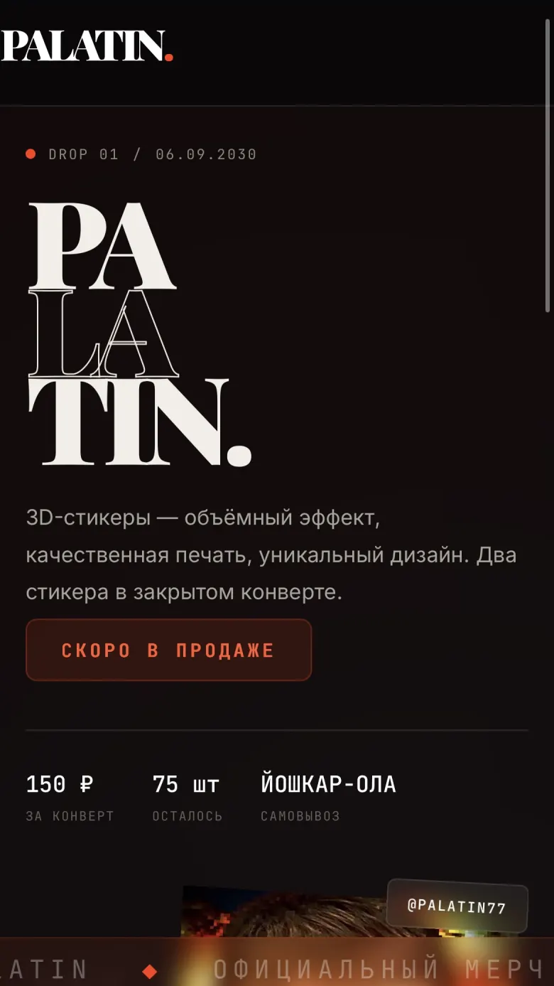 Превью сайта Palatin